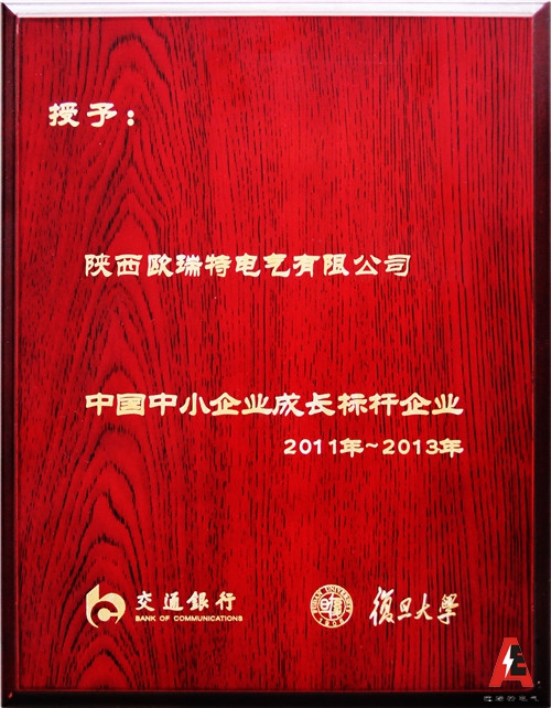 中國(guó)中小(xiǎo)企業(yè)成長(cháng)标杆企業(yè)